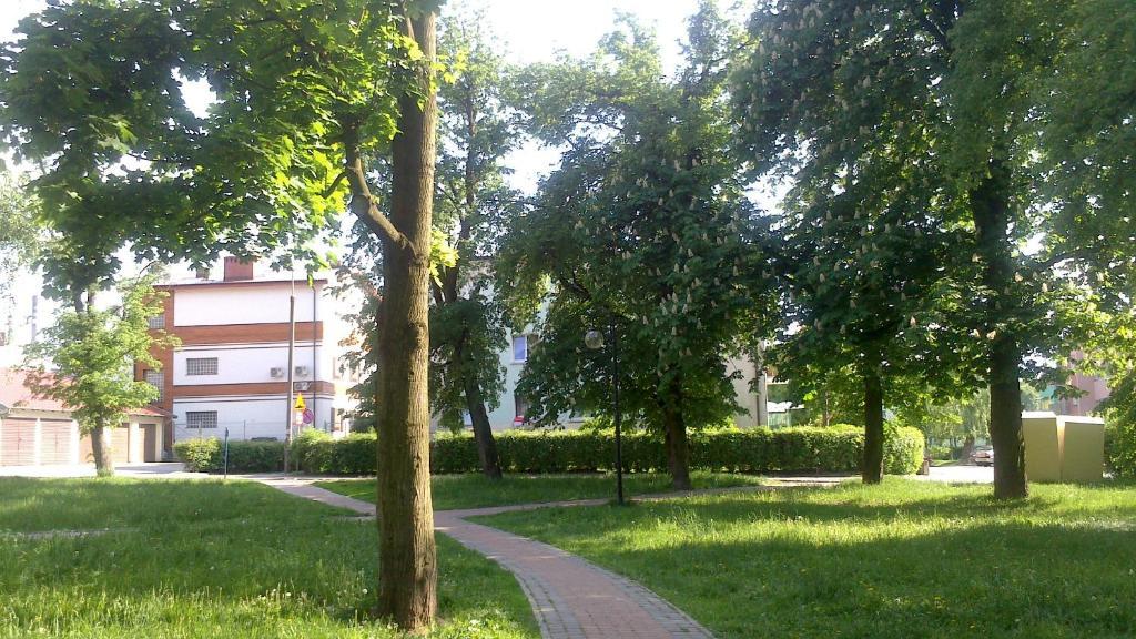 Winiarnia Apartman Kwidzyn Kültér fotó